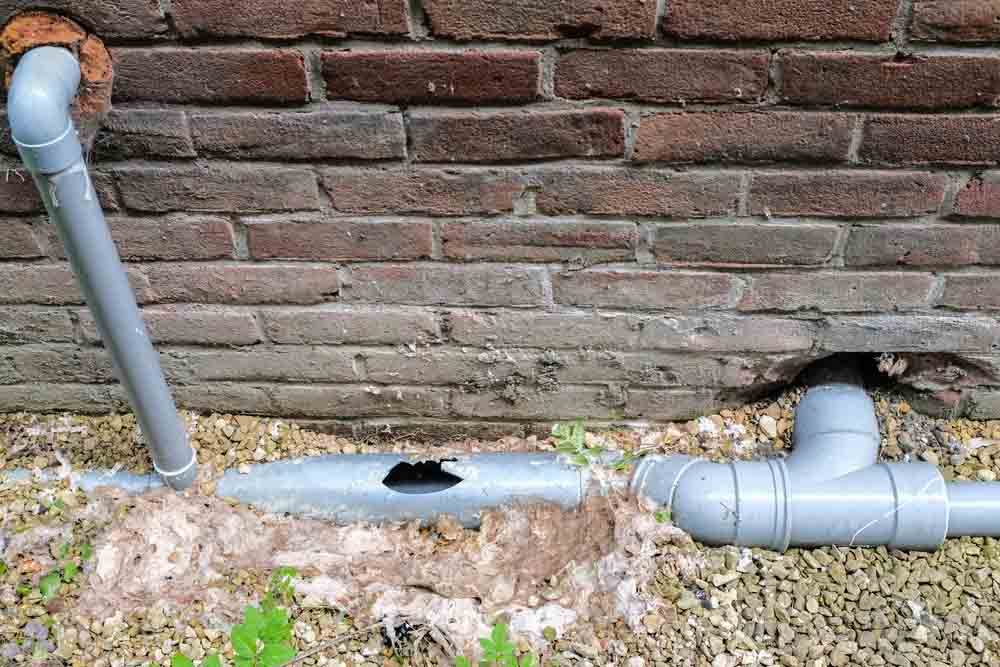 Leaking sewer pipe Kannapolis, NC