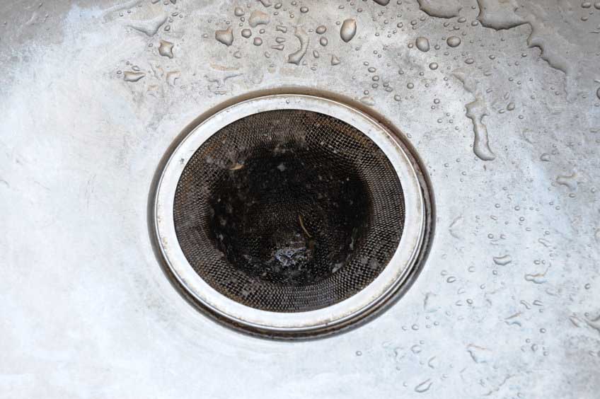 Expert Tips to Keep Drains Clog-Free