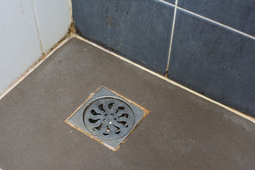 Are Your Drains Ready for the Holidays?
