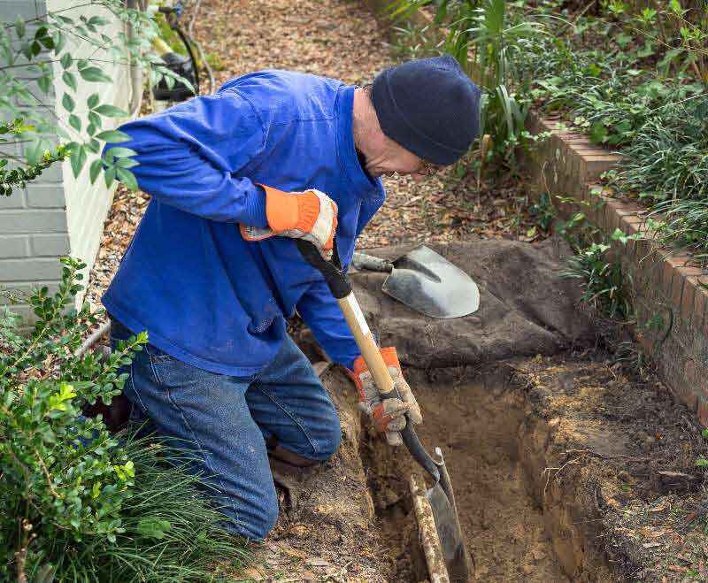 What are the Common Causes of Plumbing Backups?