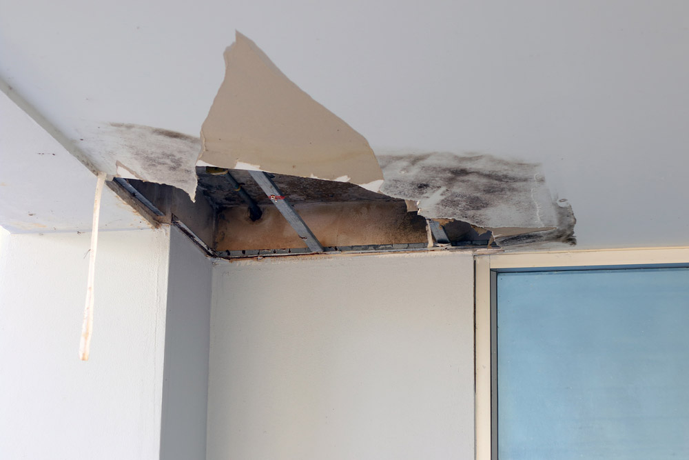 Signs of Hidden Water Leaks