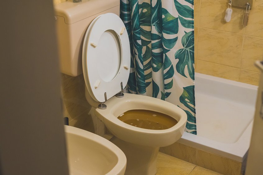 How Do Toilet Backups Occur