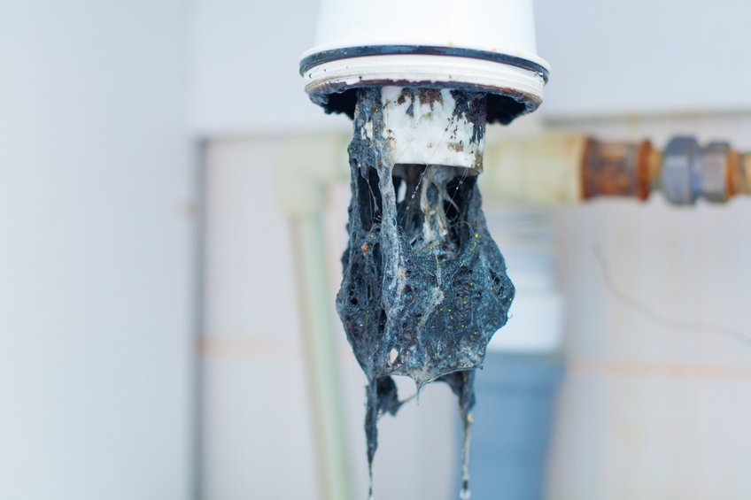 Top 3 Reasons Behind Multiple Clogged Drains