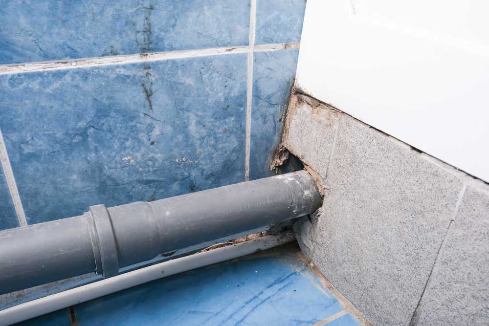 Common causes of water leaks in Charlotte, NC