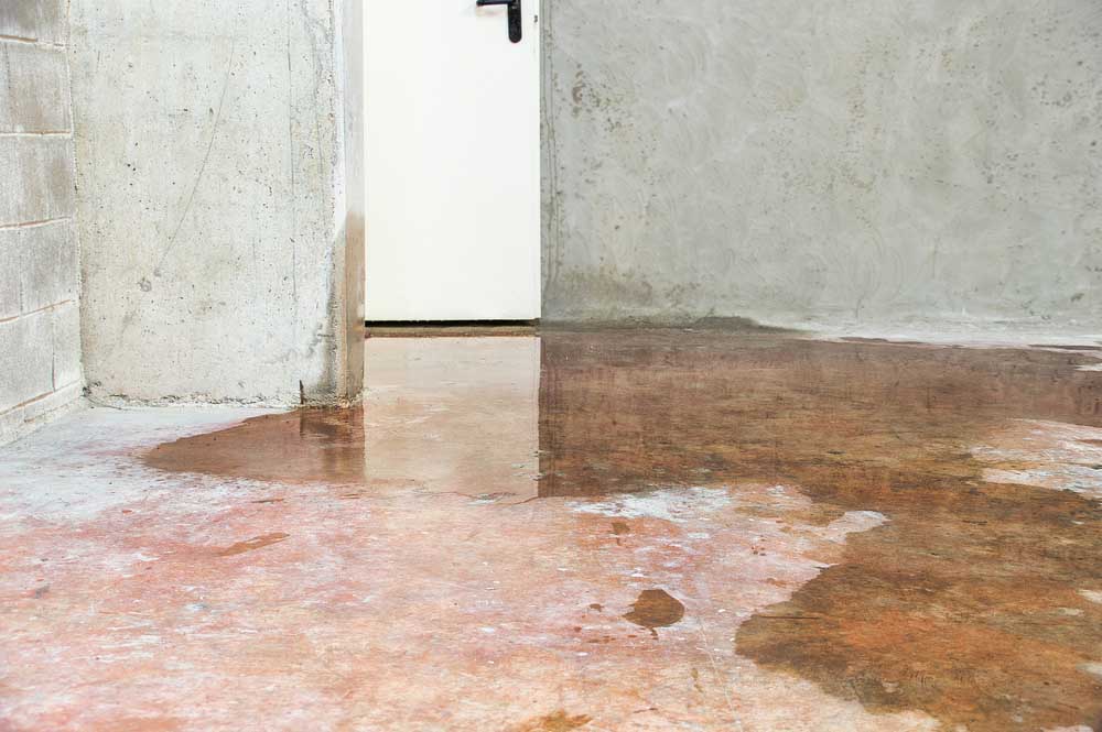 Which Areas Are Most Susceptible to Leaks