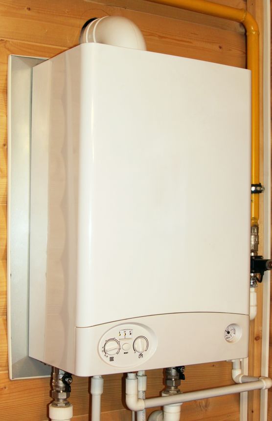 Tankless Water Heaters: The Energy-Efficient Choice